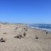 Culinary Tour: Savoring Southern California’s Diverse Food Scene