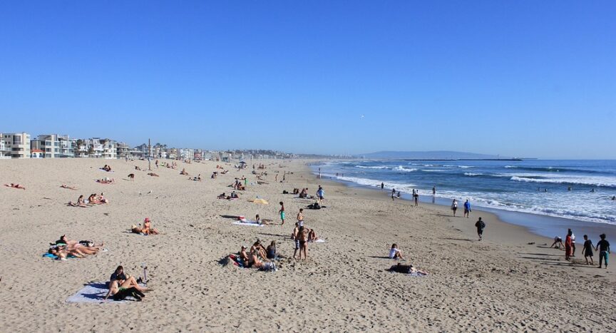 Culinary Tour: Savoring Southern California’s Diverse Food Scene