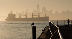 Sustainable Travel in Southern California: Eco-Friendly Destinations to Visit