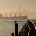 Sustainable Travel in Southern California: Eco-Friendly Destinations to Visit