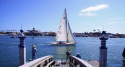 The Food Scene in Southern California: A Culinary Journey from Tacos to Temecula