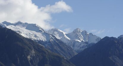 Health Trends in SoCal: Exploring Veganism and Holistic Wellness