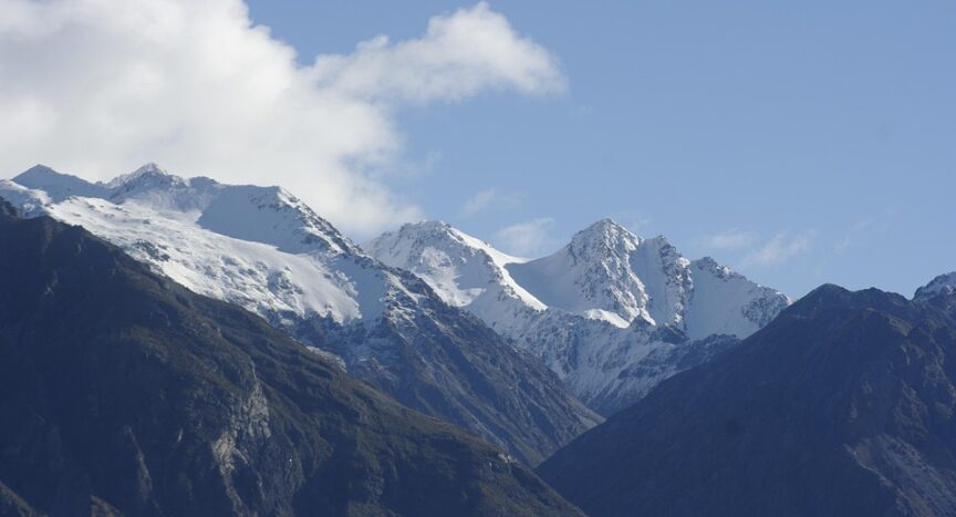 Health Trends in SoCal: Exploring Veganism and Holistic Wellness