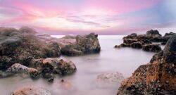 Discover Long Beach: A Coastal Gem with Endless Adventures