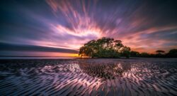 Why Long Beach Should Be Your Next Weekend Getaway