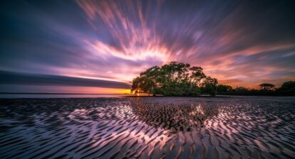 Why Long Beach Should Be Your Next Weekend Getaway