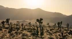 Hollywood Dreams: The Evolution of the Entertainment Industry in Southern California