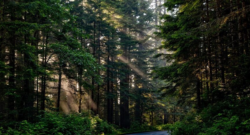 Wildfires and Climate Change: Southern California’s Fight for a Sustainable Future