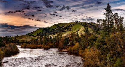 Festival Fever: Spotlight on Southern California’s Most Anticipated Annual Events