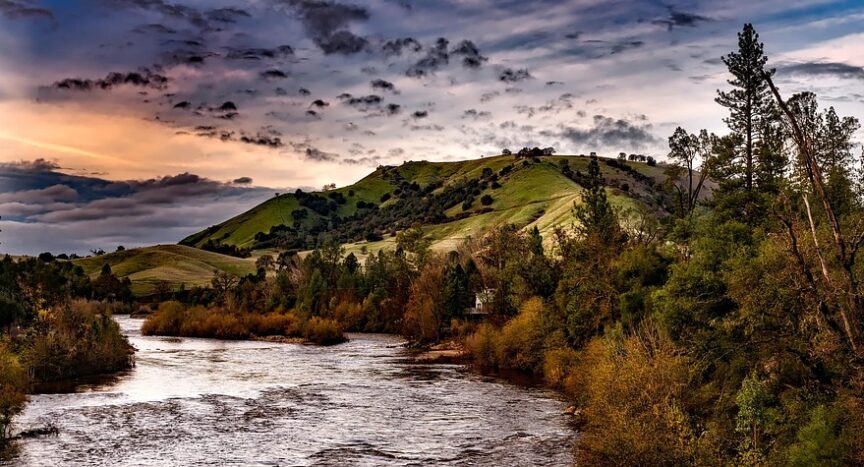 Festival Fever: Spotlight on Southern California’s Most Anticipated Annual Events