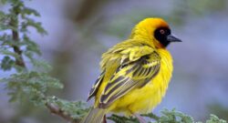 Tech and Innovation: How Southern California is Shaping the Future