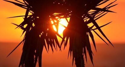 Modernism Meets Nature: Exploring Palm Springs’ Architectural Wonders