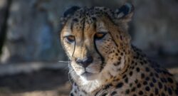 Historical San Diego: Exploring the City’s Rich Past