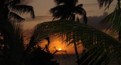 From Golf Greens to Art Scenes: The Diverse Charms of Palm Springs