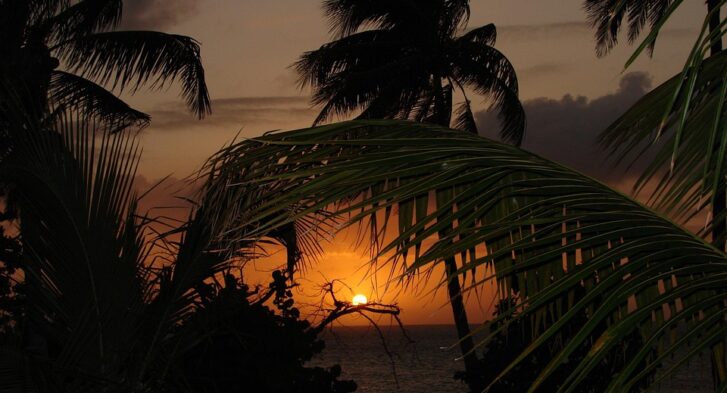 From Golf Greens to Art Scenes: The Diverse Charms of Palm Springs