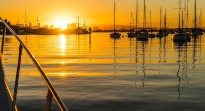 Best Beaches in San Diego: Your Ultimate Guide to Sun and Surf