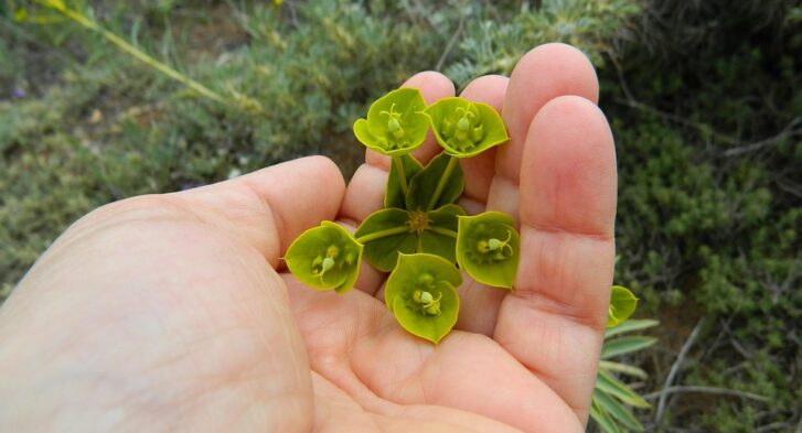 Feel free to mix and match or adjust these to suit your specific article focus!