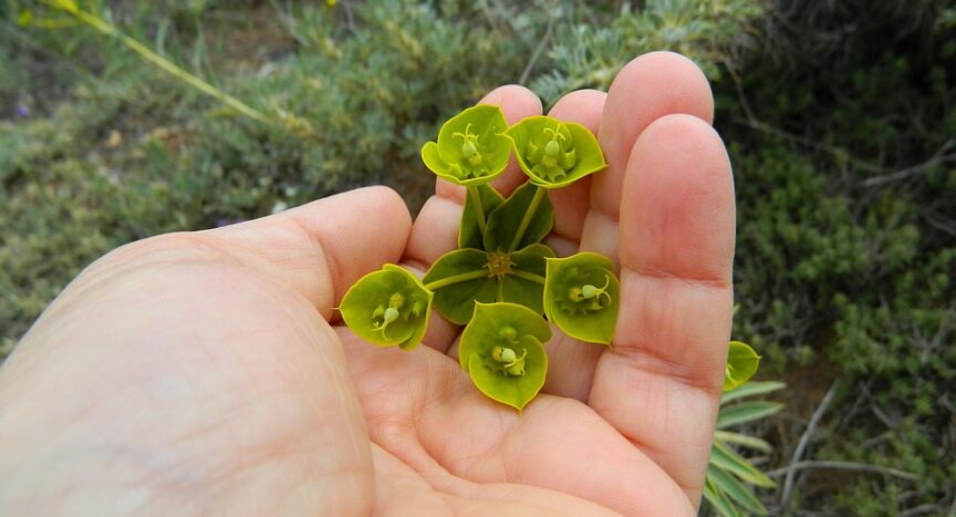 Feel free to mix and match or adjust these to suit your specific article focus!