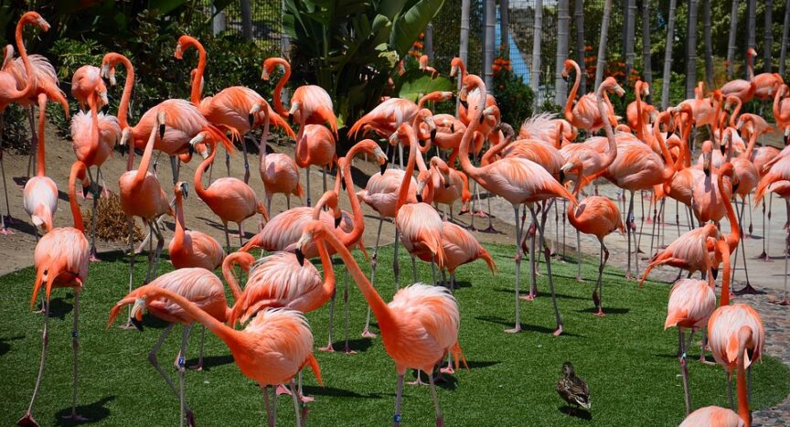 Tech and Innovation: The Rising Startups of San Diego